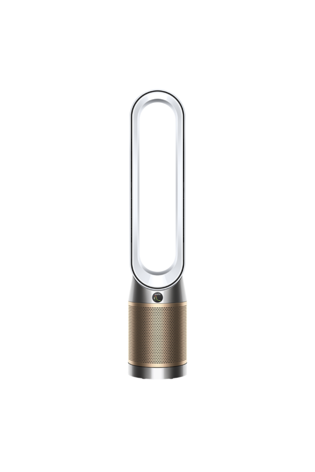 Purificateur ventilateur Dyson Cool PC2 De-NOx TP12